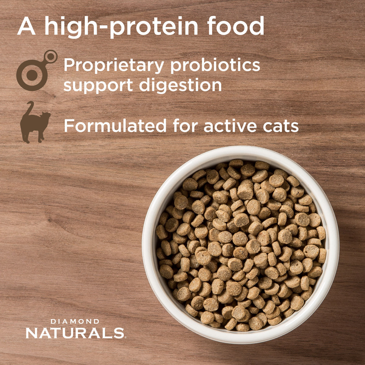 Diamond high protein dog food online