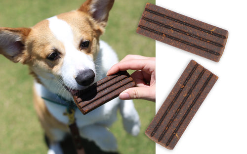 Diggin Your Dog - Firm Up! Pumpkin Bar Digestive Supplement for Cats and Dogs