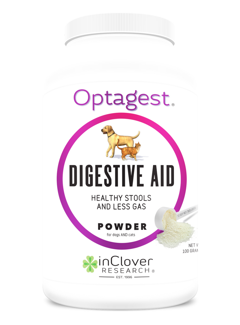 Digestive aid hot sale for dogs