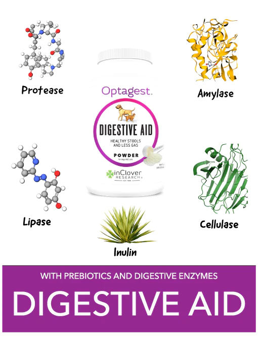 Inclover Optagest Plant Based Prebiotics Digestive Enzymes for