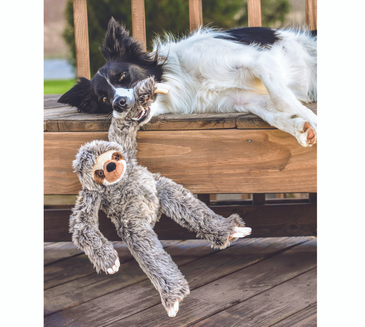 Fluff Tuff Tico Sloth Dog Toy Altoona IA Des Moines IA Urbandale IA West Des Moines IA Bone a Patreat