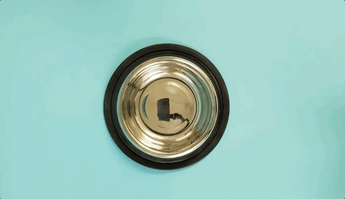 Inclover - Optagest Plant Based Prebiotics & Digestive Enzymes for Dogs & Cats