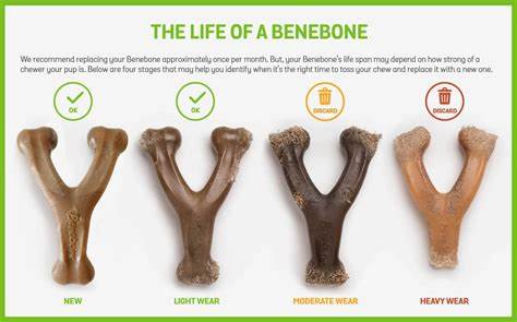 Benebone - Wishbone Dog Chew Toy