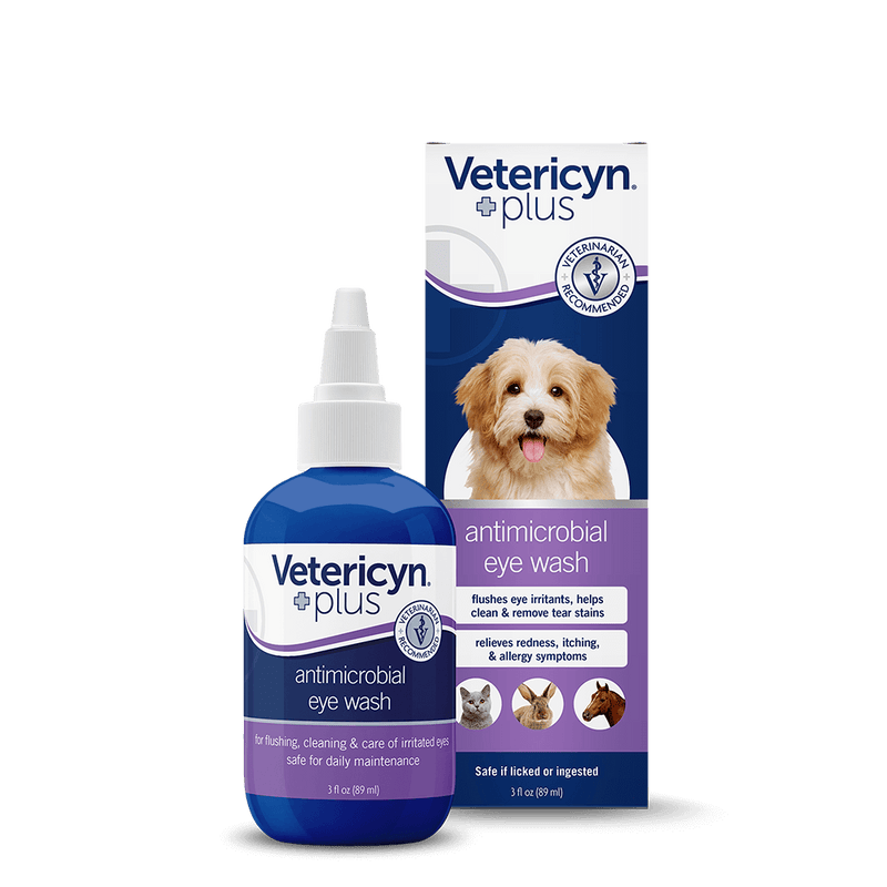 Dog ate shop lubricating eye drops