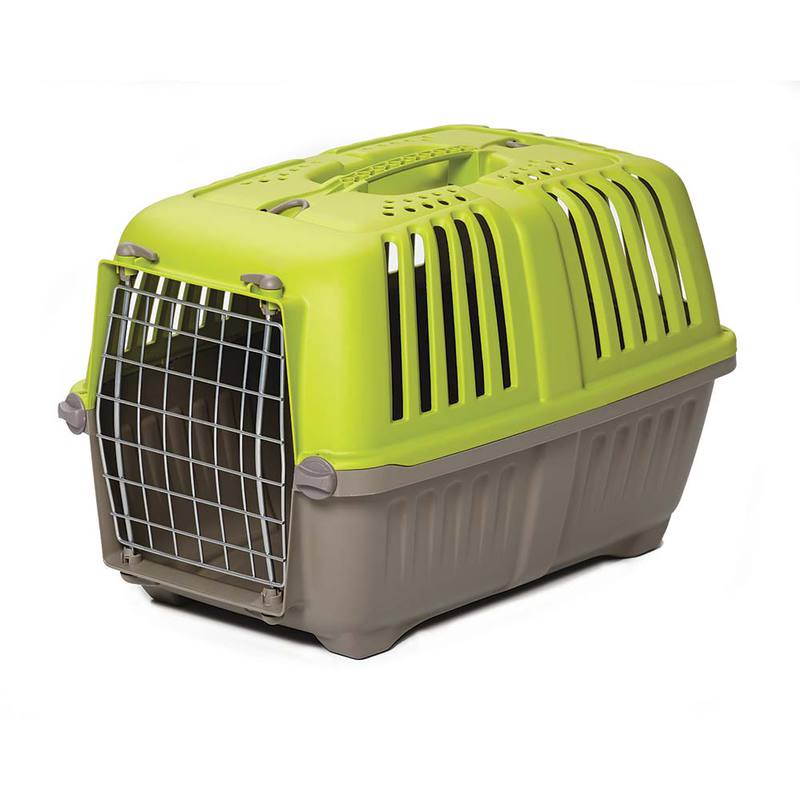 Cat plastic carrier deals