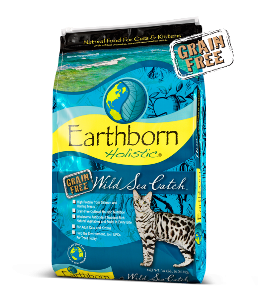 Earthborn holistic cat best sale food