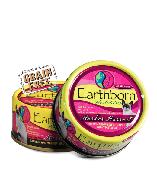 Earthborn Holistic Harbor Harvest Dry Cat Food Des Moines IA