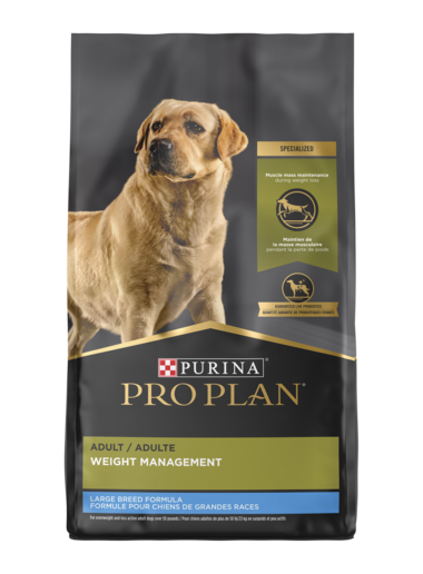 Labrador purina sales