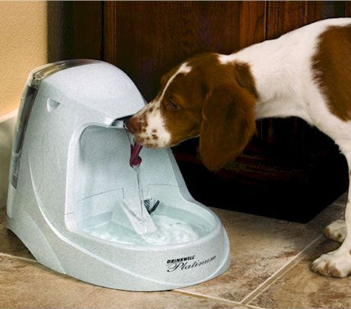 Drinkwell® 1 Gallon Pet Fountain