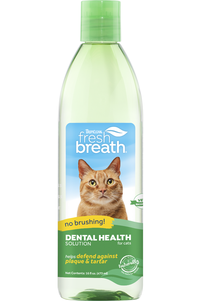 Fresh breath oral care discount