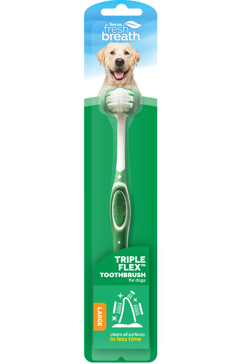 What kind of outlet toothbrush for dogs