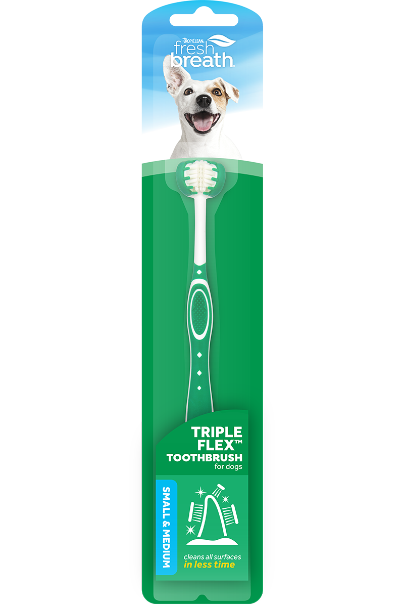 Small dog toothbrush cheap