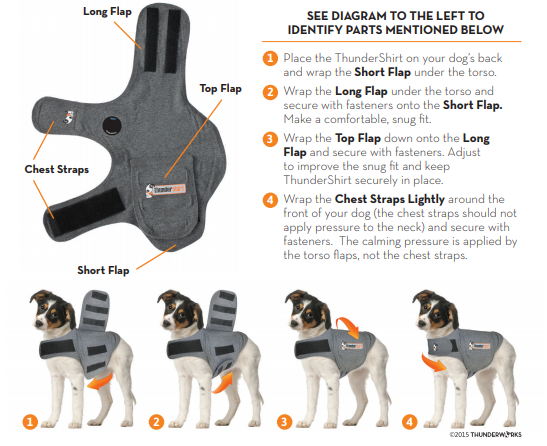 Pet top thunder jacket