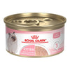 Royal Canin - Kitten Loaf in Sauce Wet Cat Food