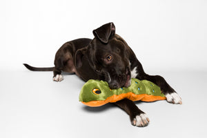 Fluff & Tuff - Katie Caterpillar Dog Toy