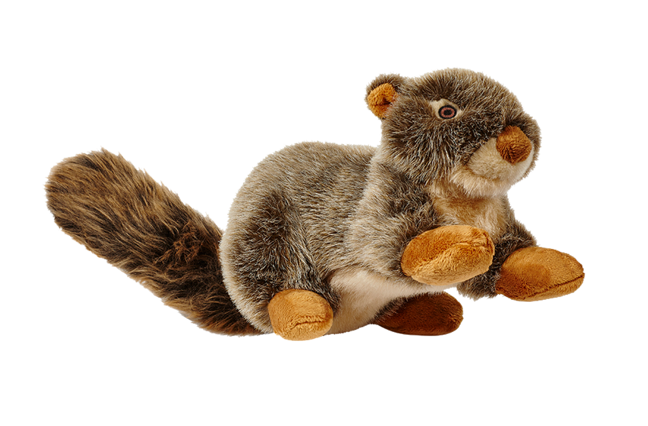 Fluff Tuff Nuts Squirrel Dog Toy Des Moines IA West Des