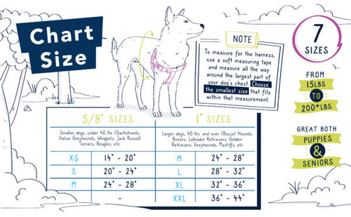 2 Hounds Design - Freedom No-Pull Dog Harness