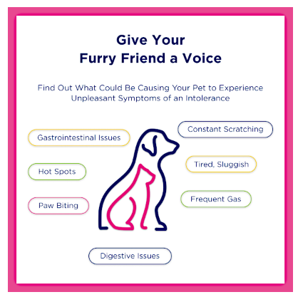 Ucari - Pet Test Kit
