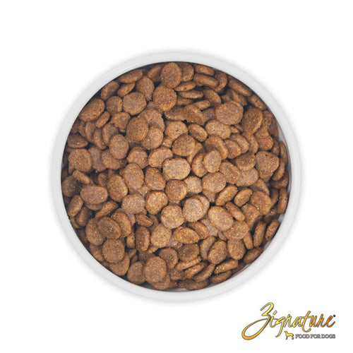 Zignature - Salmon Formula Dry Dog Food