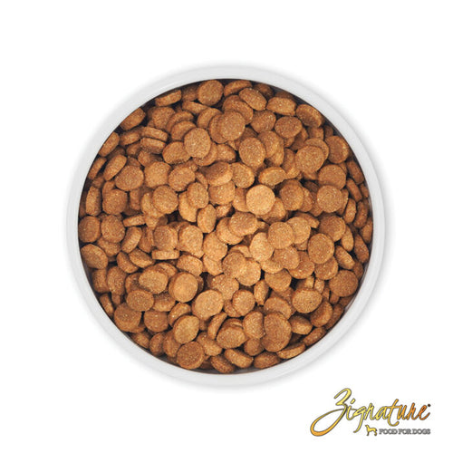 Zignature - Pork Formula Dry Dog Food