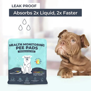 Genius Litter - Health Monitoring Pee Pads for Dogs