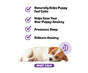 Snuggle Puppy - Puppy Bites Night Calm Supplement