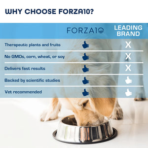 Forza10 - Nutraceutic Active Intestinal Support Diet Dry Dog Food
