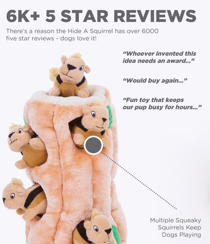 Outward Hound Hide a Squirrel Puzzle Dog Toy Altoona IA Des Moines IA Urbandale IA West Des Moines IA Bone a Patreat