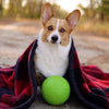 Jolly Pets - Mini Jolly Soccer Ball Dog Toy