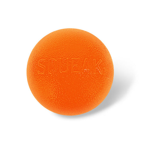 Outward Hound - Orbee-Tuff Squeak Ball Dog Toy