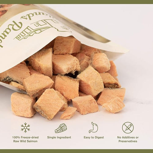 Badlands Ranch - Superfood Bites Salmon Grain-Free Freeze-Dried Raw Dog Treats