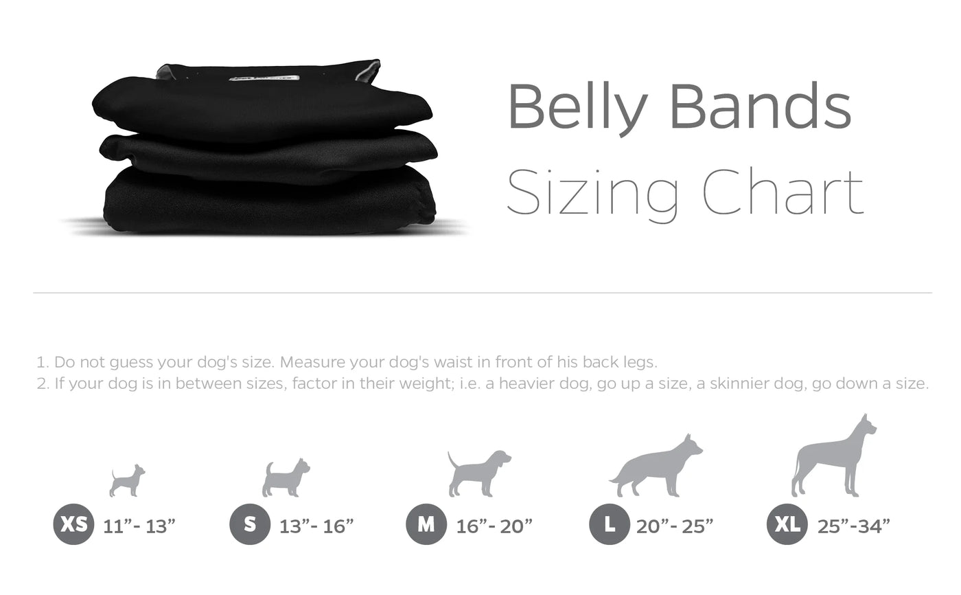 Belly band shop male dog wrap