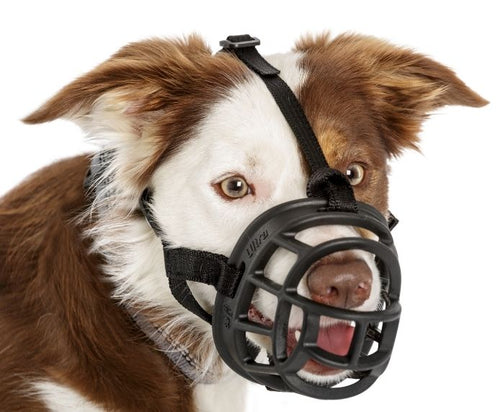 Company of Animals - Baskerville Ultra Muzzle for Dogs