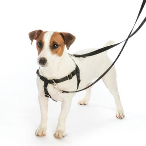 2 Hounds Design - Freedom No-Pull Dog Harness