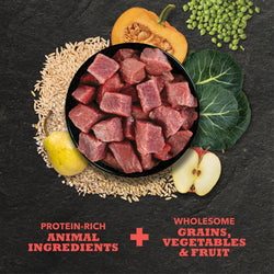 Acana - Classics, Beef and Barley Recipe Dry Dog Food