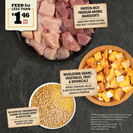 Acana - Free-Run Poultry & Grains Recipe Dry Dog Food