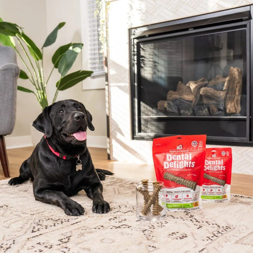 Stella & Chewy's - Large Dental Delights for Dogs