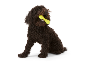 West Paw - Hurley Dog Toy