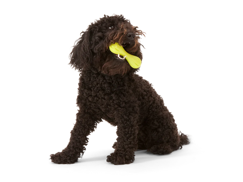 West Paw - Hurley Dog Toy