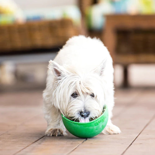 LickiMat - Wobble for Dogs