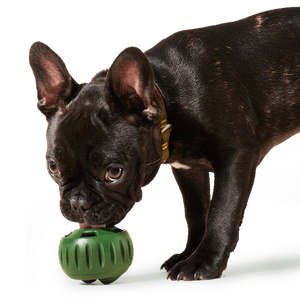 Woof Pet - The Pupsicle Interactive Toy