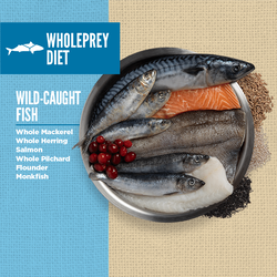 Orijen - Amazing Grains, Six Fish Dry Dog Food