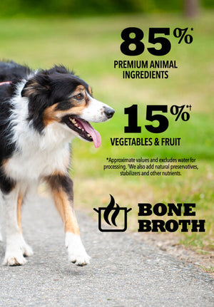 Acana - Premium Chunks, Duck Recipe in Bone Broth Wet Dog Food