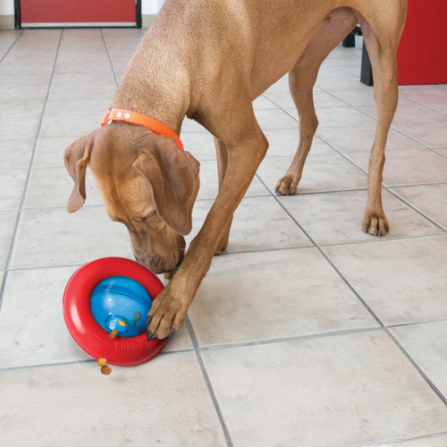 Kong - Gyro Treat Dispensing Dog Toy