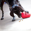 Kong - Wobbler Treat Dispensing Dog Toy