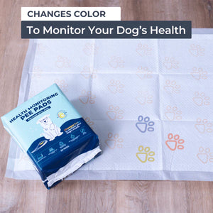 Genius Litter - Health Monitoring Pee Pads for Dogs