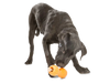 West Paw - Qwizl Treat Dog Toy