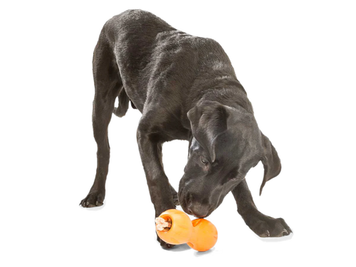 West Paw - Qwizl Treat Dog Toy