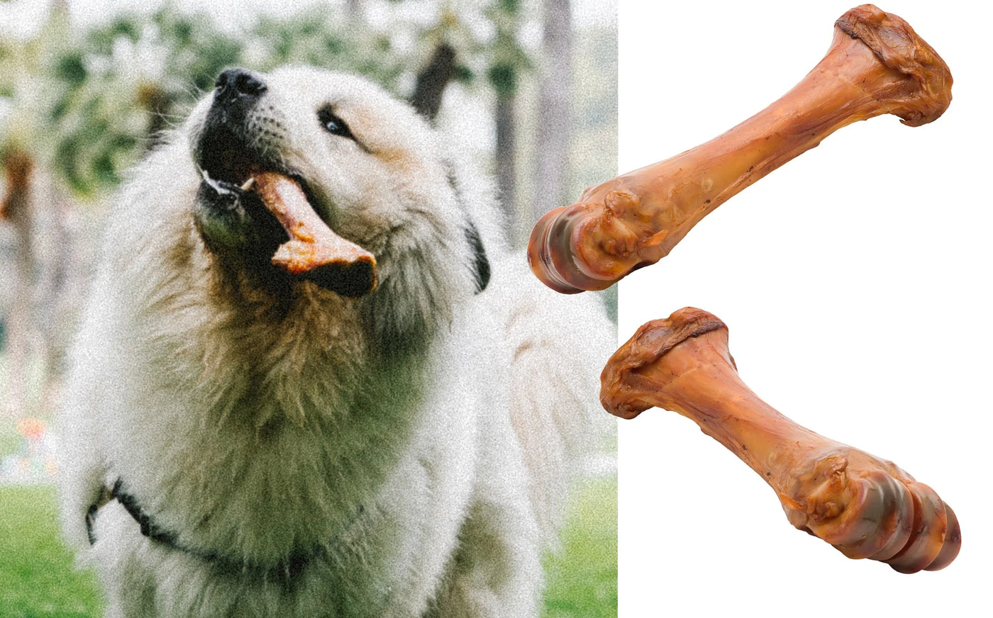 Shankzilla hot sale dog bone