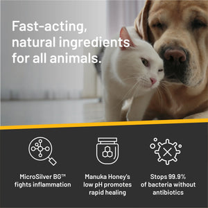 Absorbine - Silver Honey Rapid Ear Care Vet Strength Pet Wipes